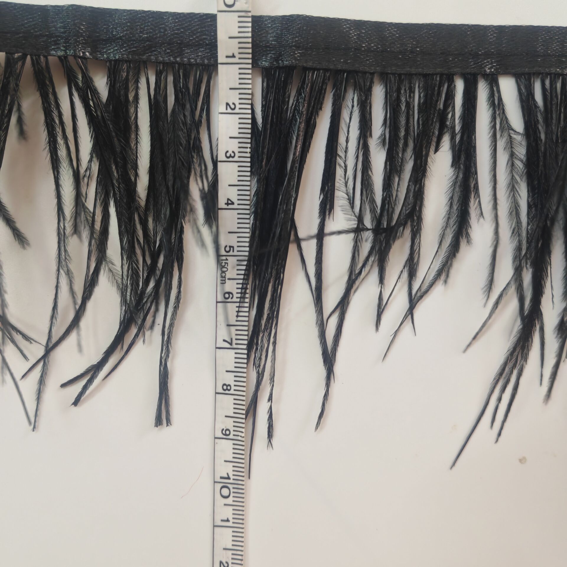 Rumbai Bulu Burung Unta Hitam  - Fringe Ribbon Sewing ulasan dan harga